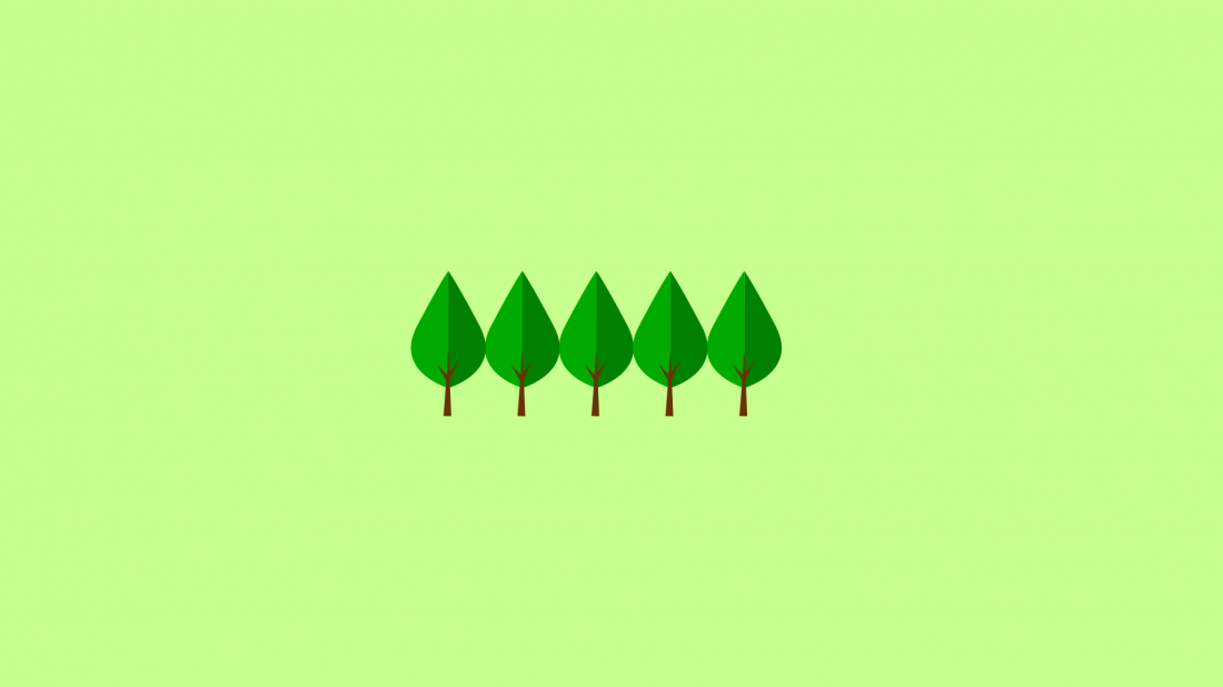 Blog Details